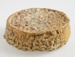 Fromages du monde - U Pecurinu