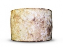 Cheeses of the world - Westcombe