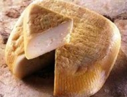 Cheeses of the world - Niolo