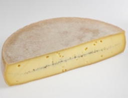 世界上的各种奶酪 - Morbier