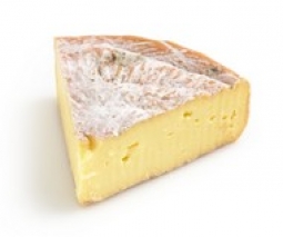 Fromages du monde - Dorset cheese
