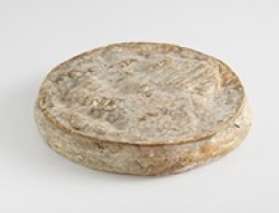 Fromages du monde - Saint-Nectaire