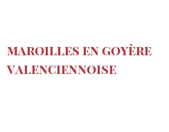 菜谱 Maroilles en Goyère Valenciennoise