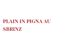 菜谱 Plain in Pigna au Sbrinz