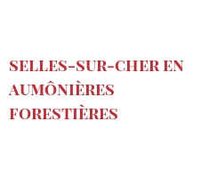 Рецепты Selles-sur-Cher en aumônières forestières