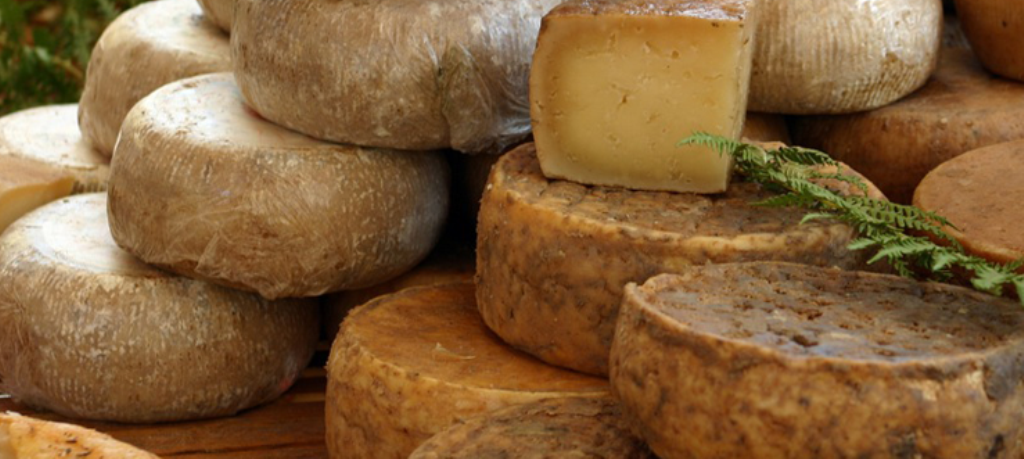 Corsican cheeses