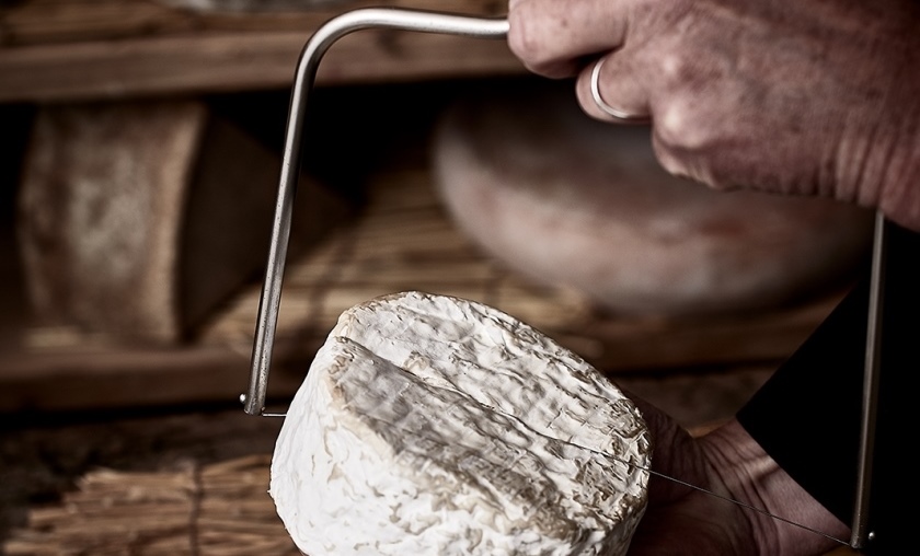 Devenir Fromager via un CQP, un CAP ou un BTS MCO