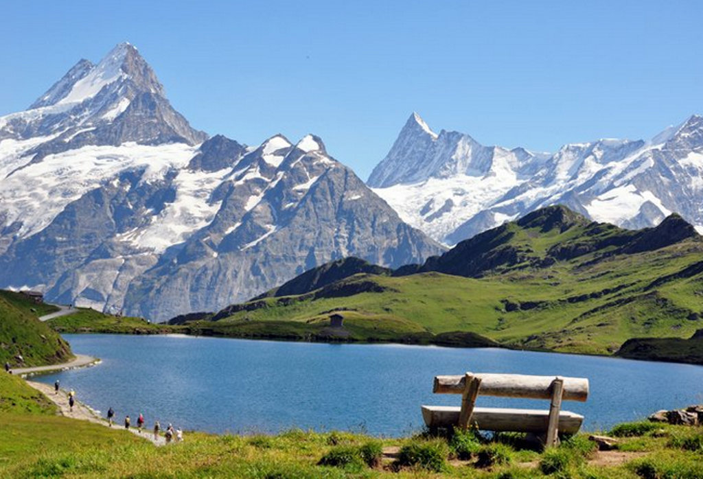 Cheese from the Alps