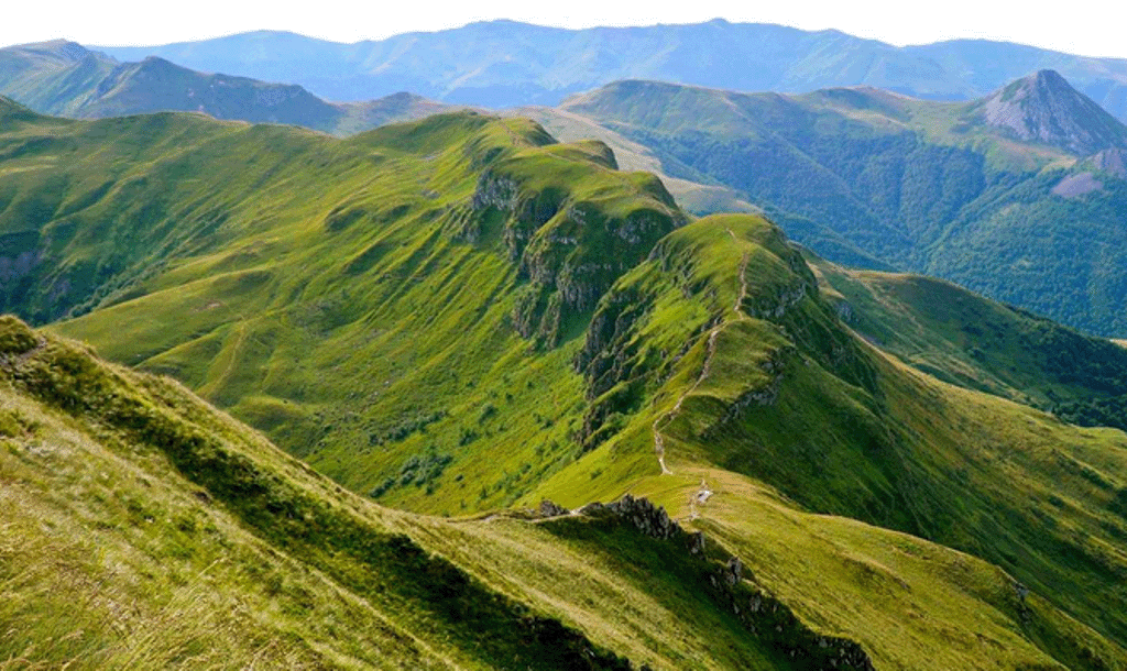 Le fromage d'Auvergne