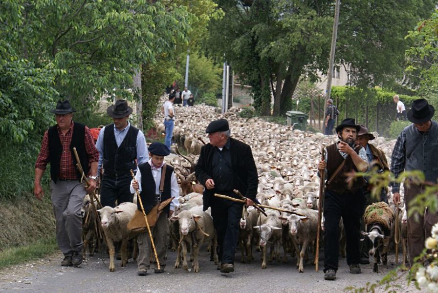 French cheeses maintain a link between communities and collectives.