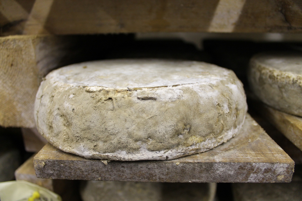 Les fromages à pâtes pressées non cuites