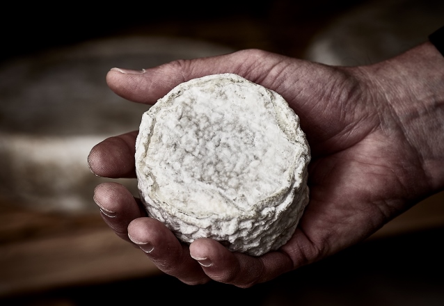 Les gestes du fromager