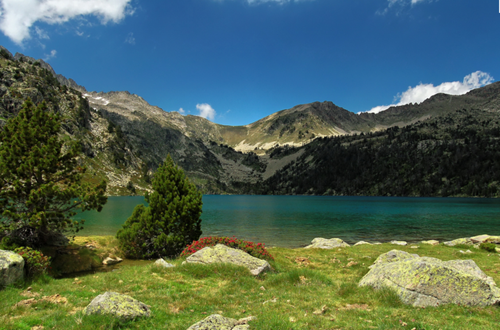 Le fromage des Pyrénées