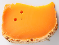 Photo Mimolette