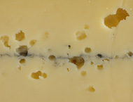 Photo Morbier