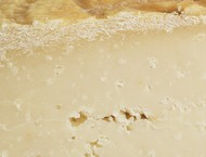 Photo Pecorino Crotonese