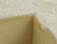 Photo Paglierine ou Pagliarino